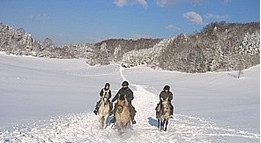 Randonnée à cheval dans le jura autour des lacs