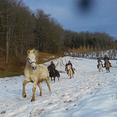 Randonnée hivernales à cheval dans le jura