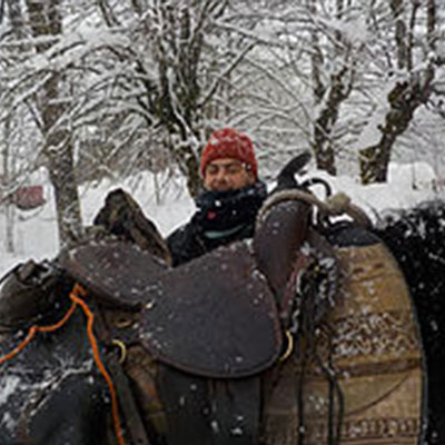 Randonnée hivernales à cheval dans le jura